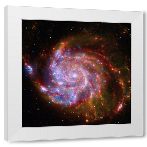 Spitzer-Hubble-Chandra Composite of M101 White Modern Wood Framed Art Print by NASA