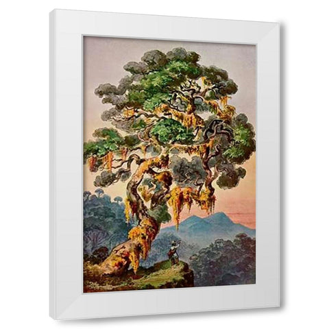 Der Vulkan Merapi auf Sumatra Hochland von Padang White Modern Wood Framed Art Print by Haeckel, Ernst