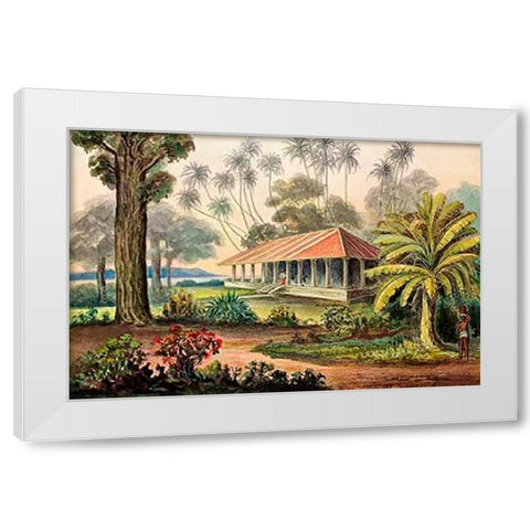 Rasthaus von Belligemma Sudkuste von Ceylon White Modern Wood Framed Art Print by Haeckel, Ernst