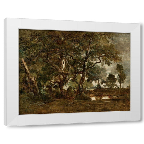 Forest of Fontainebleau, Cluster of Tall Trees Overlooking the Plain of Clair-Bois at the Edge of Ba White Modern Wood Framed Art Print by Rousseau, Theodore