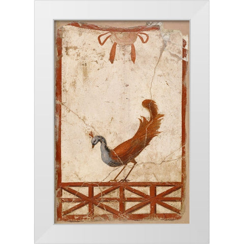Wall Fragment with a Peacock White Modern Wood Framed Art Print by Artisan, Unknown 1st Century Roman
