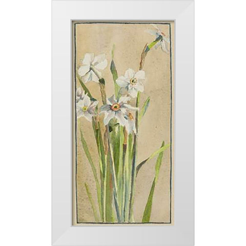 White Narcissus with Gray Accents White Modern Wood Framed Art Print by Overbeck, Hannah Borger