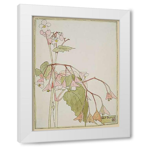 Beef Begonia White Modern Wood Framed Art Print by Overbeck, Hannah Borger