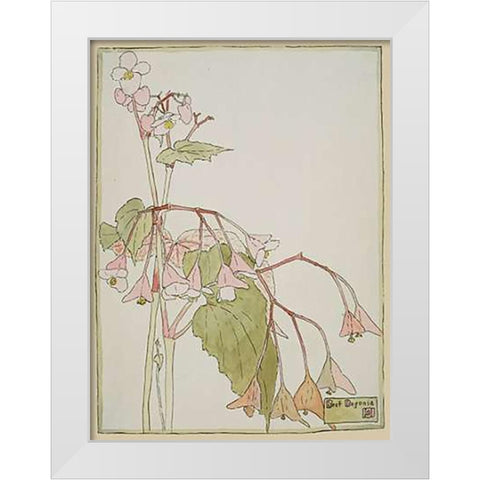 Beef Begonia White Modern Wood Framed Art Print by Overbeck, Hannah Borger