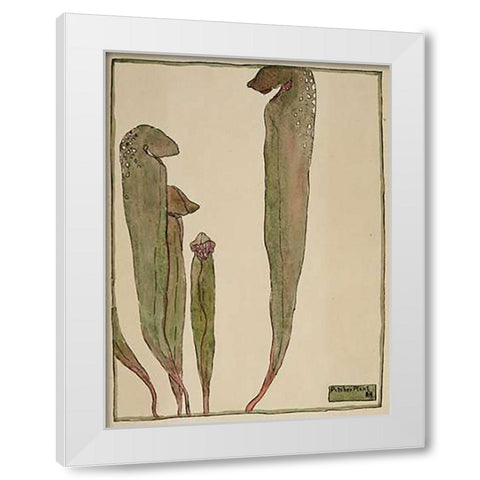 Pitcher Plant White Modern Wood Framed Art Print by Overbeck, Hannah Borger