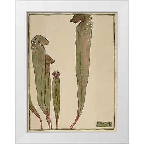 Pitcher Plant White Modern Wood Framed Art Print by Overbeck, Hannah Borger