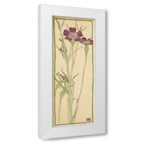 Corn Cockle White Modern Wood Framed Art Print by Overbeck, Hannah Borger