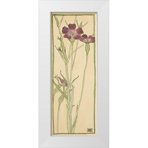 Corn Cockle White Modern Wood Framed Art Print by Overbeck, Hannah Borger