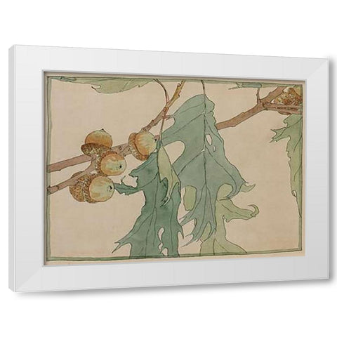 Oak/Acorns White Modern Wood Framed Art Print by Overbeck, Hannah Borger