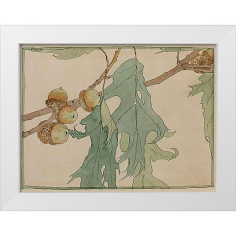 Oak/Acorns White Modern Wood Framed Art Print by Overbeck, Hannah Borger