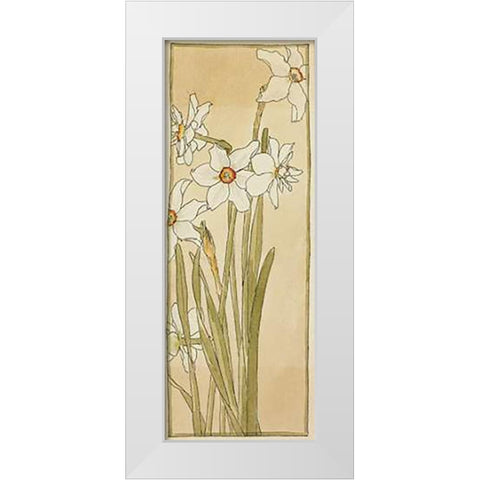 Poets Narcissus White Modern Wood Framed Art Print by Overbeck, Hannah Borger