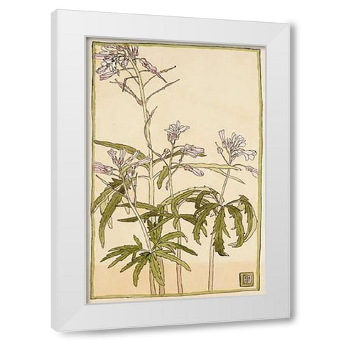 Pink Flowers with Spiky Green Leaves White Modern Wood Framed Art Print by Overbeck, Hannah Borger