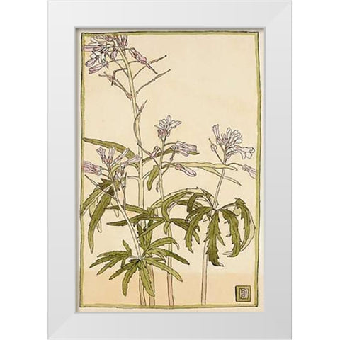 Pink Flowers with Spiky Green Leaves White Modern Wood Framed Art Print by Overbeck, Hannah Borger