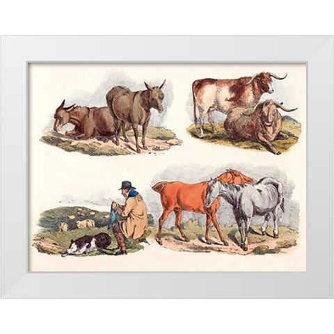 Knitting Shepherd, 1817 White Modern Wood Framed Art Print by Alken, Henry Thomas