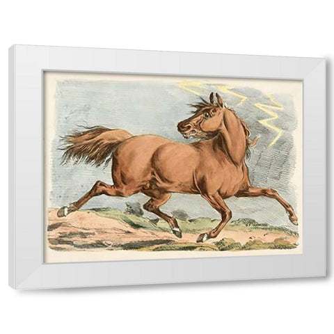 Brown Horse Running, 1817 White Modern Wood Framed Art Print by Alken, Henry Thomas