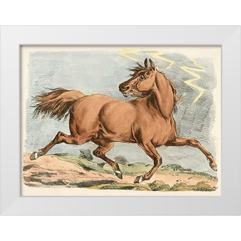 Brown Horse Running, 1817 White Modern Wood Framed Art Print by Alken, Henry Thomas