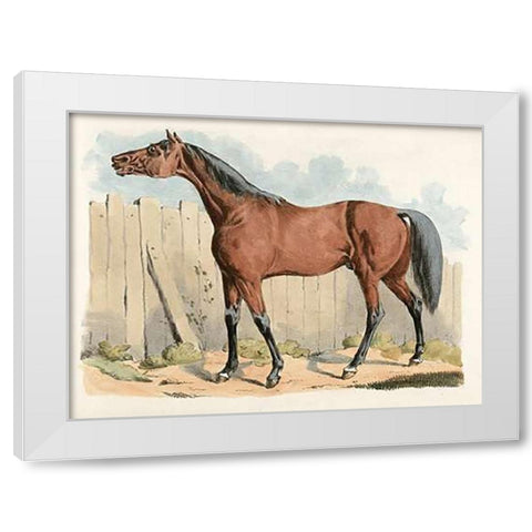Dark-Brown Horse, 1817 White Modern Wood Framed Art Print by Alken, Henry Thomas