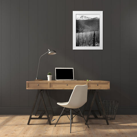 Burned Area, Glacier National Park, Montana - National Parks and Monuments, 1941 White Modern Wood Framed Art Print by Adams, Ansel