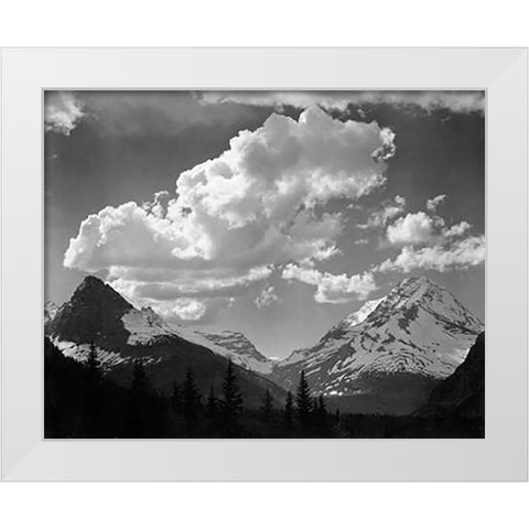 Trees in Glacier National Park, Montana - National Parks and Monuments, 1941 White Modern Wood Framed Art Print by Adams, Ansel