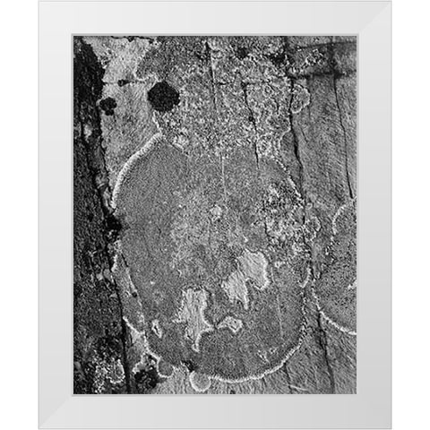 Lichons, Glacier National Park, Montana - National Parks and Monuments, 1941 White Modern Wood Framed Art Print by Adams, Ansel