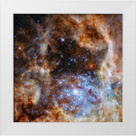 Star Cluster R136 White Modern Wood Framed Art Print by NASA