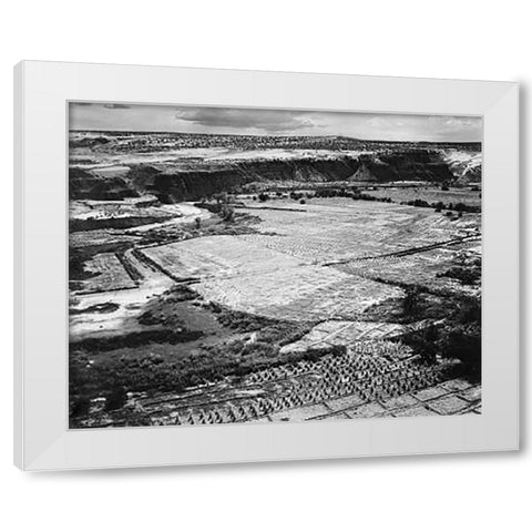 Corn Field, Indian Farm near Tuba City, Arizona, in Rain, 1941 White Modern Wood Framed Art Print by Adams, Ansel
