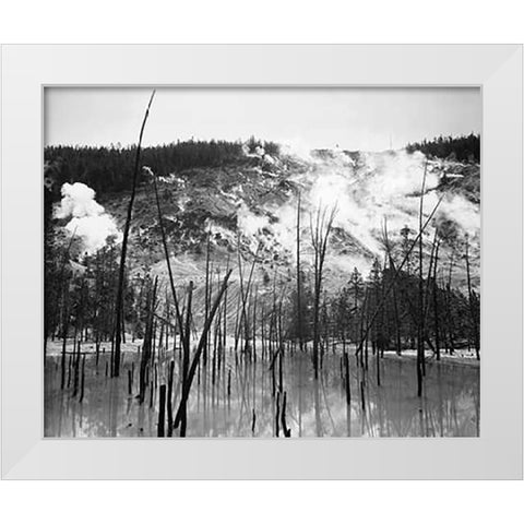 Barren trunks in water near steam rising from mountains, Roaring Mountain, Yellowstone National Park White Modern Wood Framed Art Print by Adams, Ansel