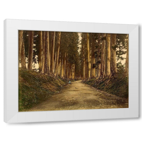 View of Imaichi White Modern Wood Framed Art Print by 19th Century Japanese Photographer