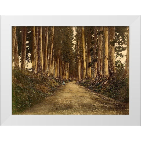 View of Imaichi White Modern Wood Framed Art Print by 19th Century Japanese Photographer