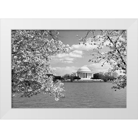 Jefferson Memorial with cherry blossoms, Washington, D.C. - Black and White Variant White Modern Wood Framed Art Print by Highsmith, Carol