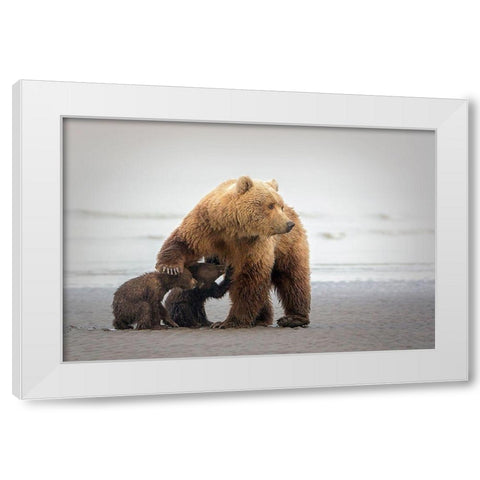 Family Time White Modern Wood Framed Art Print by Doyle, Renee