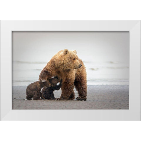 Family Time White Modern Wood Framed Art Print by Doyle, Renee