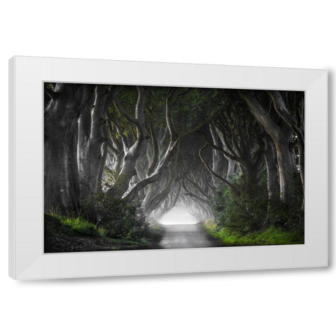 Dark Hedges White Modern Wood Framed Art Print by Molteni, Nicola