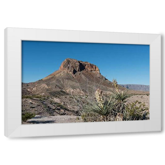 Perspective Image