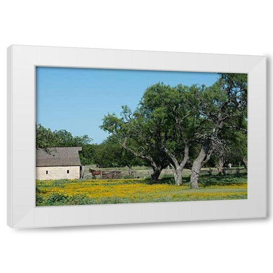 Perspective Image