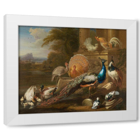 Peacocks, Doves, Turkeys, Chickens and Ducks by a Classical Ruin White Modern Wood Framed Art Print by Cradock, Marmaduke