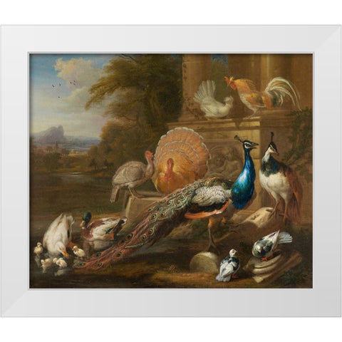 Peacocks, Doves, Turkeys, Chickens and Ducks by a Classical Ruin White Modern Wood Framed Art Print by Cradock, Marmaduke