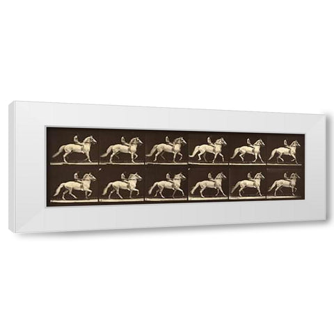 Motion Study: Man Riding A Horse White Modern Wood Framed Art Print by Muybridge, Eadweard