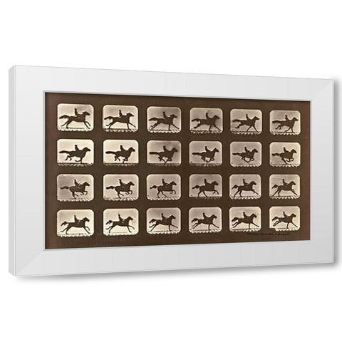Motion Study: Man Riding A Galloping Horse White Modern Wood Framed Art Print by Muybridge, Eadweard