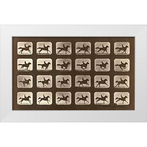 Motion Study: Man Riding A Galloping Horse White Modern Wood Framed Art Print by Muybridge, Eadweard