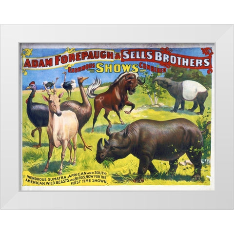 Adam Forepaugh and Sells Brothers Enormous Shows Combined - Wondrous Sumatra, African And South-Amer White Modern Wood Framed Art Print by Hollywood Photo Archive