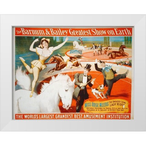 The Barnum and Bailey Greatest Show On Earth - Miss Rose Meers, The Greatest Living Lady Rider - 189 White Modern Wood Framed Art Print by Hollywood Photo Archive