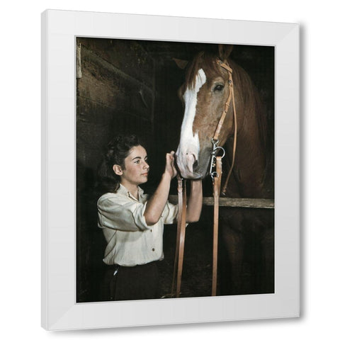 National Velvet - Elizabeth Taylor White Modern Wood Framed Art Print by Hollywood Photo Archive