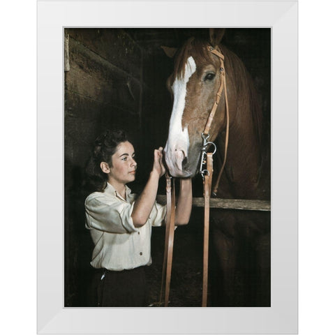 National Velvet - Elizabeth Taylor White Modern Wood Framed Art Print by Hollywood Photo Archive