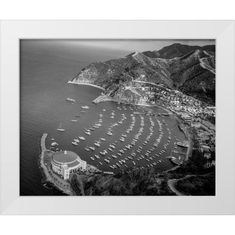Santa Catalina Island California White Modern Wood Framed Art Print by Highsmith, Carol