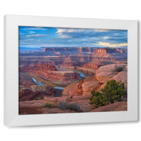 Colorado River from Deadhorse Point, Canyonlands National Park, Utah White Modern Wood Framed Art Print by Fitzharris, Tim