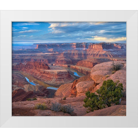 Colorado River from Deadhorse Point, Canyonlands National Park, Utah White Modern Wood Framed Art Print by Fitzharris, Tim