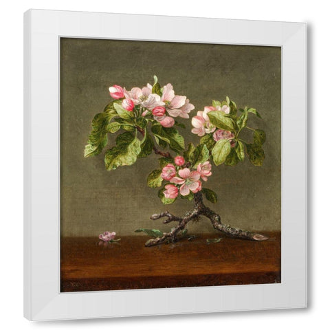 Apple Blossoms White Modern Wood Framed Art Print by Heade, Martin Johnson
