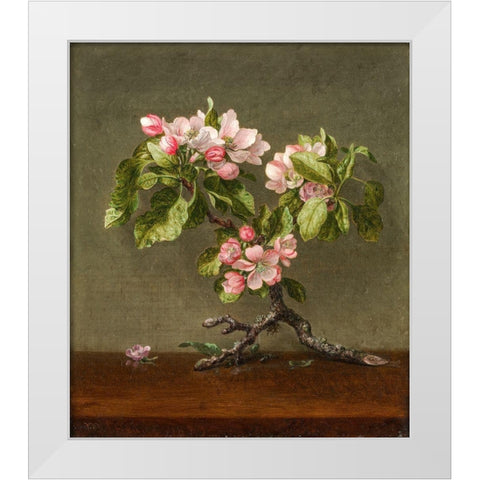 Apple Blossoms White Modern Wood Framed Art Print by Heade, Martin Johnson