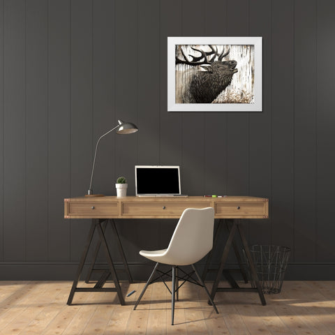 Bugling Bull Elk   White Modern Wood Framed Art Print by Bawden, Angela